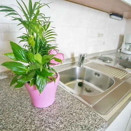 Apartament Danica With Terrace
